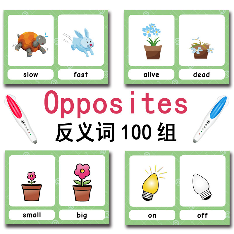 The 100 Groups Opposites Flash - Kids Education Card ulasan dan harga