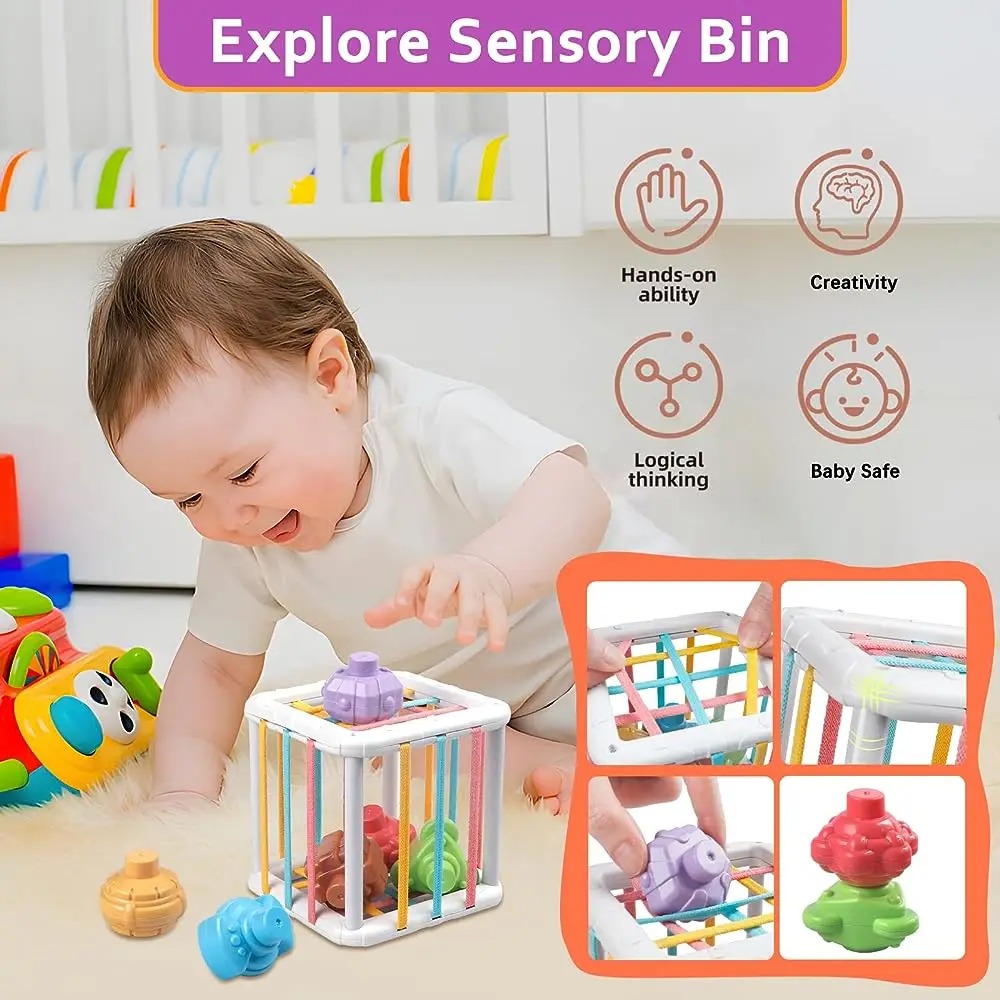 Rainbow Colorful Montessori Sh - Kids Educational Device ulasan dan harga