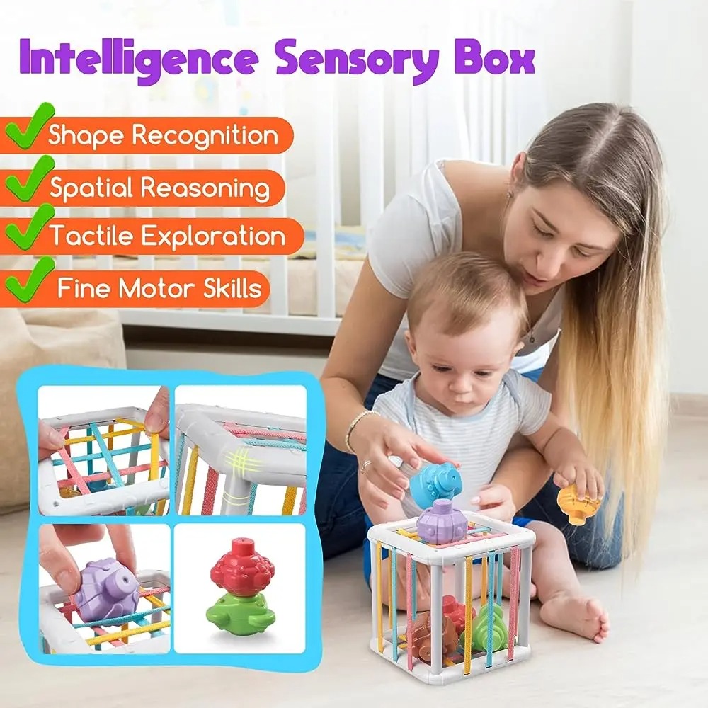 Rainbow Colorful Montessori Sh - Kids Educational Device ulasan dan harga