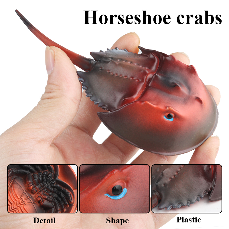 Oenux Sea Life Animals Octopus - Kids Without Education ulasan dan harga