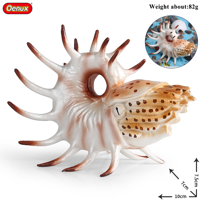Oenux Sea Life Animals Coral O - Kids Without Education ulasan dan harga