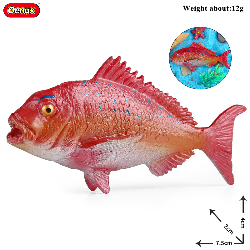 Oenux Sea Life Animals Coral O - Kids Without Education ulasan dan harga