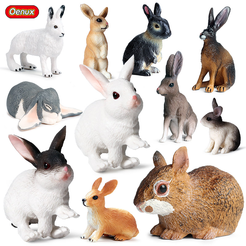 Oenux Lovely Farm Rabbit Bunny - Kids Without Education ulasan dan harga