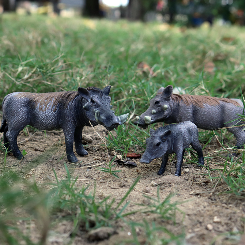 Oenux Wild Boar Tapirus Indicu - Kids Without Education ulasan dan harga